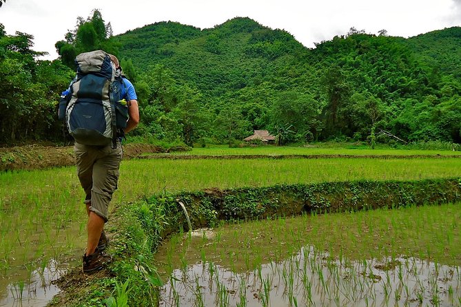 Day Trek to Kuangsi Waterfall and Bear Sanctuary - Luang Prabang full day tour - Kuang Si Falls pools, swim time, and what to plan for