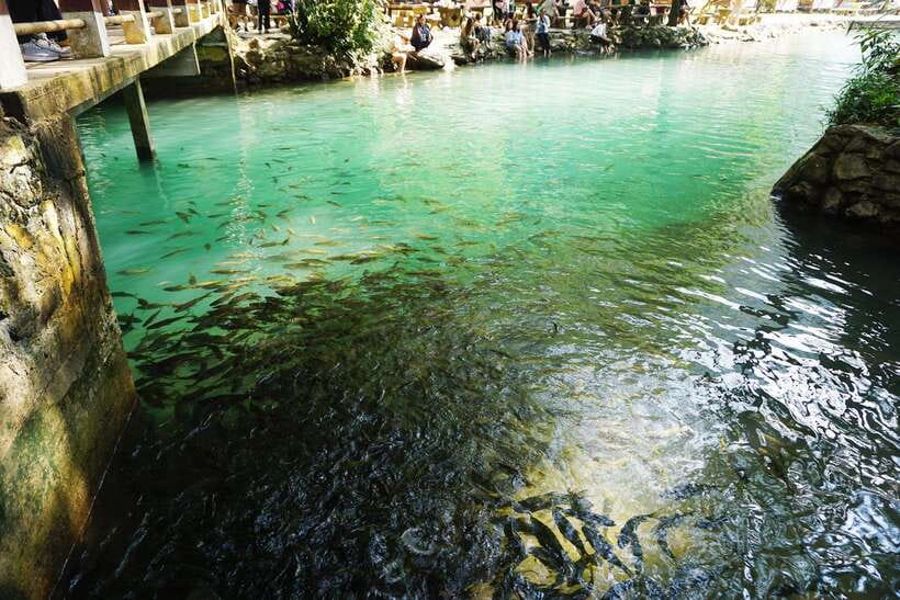 Day Trip Vientiane - VangVieng by Express Train - Group Size and the Guide Factor: English Can Vary