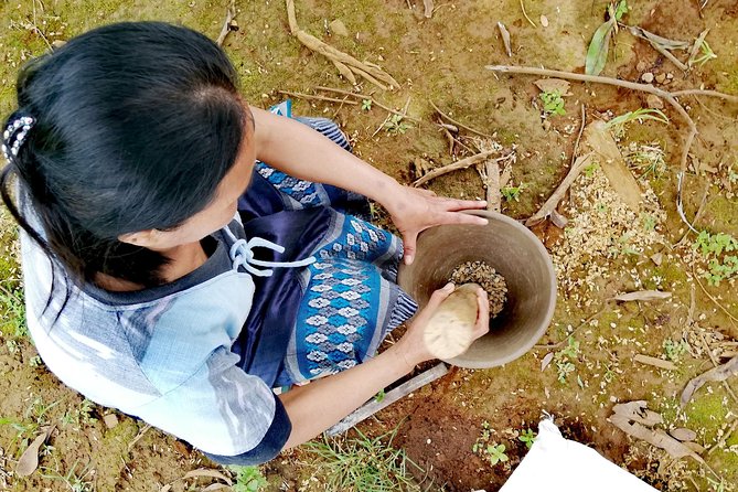 Full Day Crossing the Bolaven Plateau - Coffee plantation stop: Arabica and Robusta from a family farm