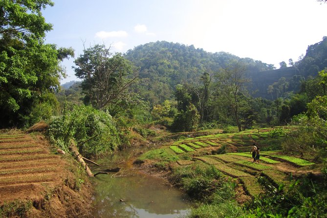 Full Day Crossing the Bolaven Plateau - Tad Yuang: swim behind the curtain, not just near the pool