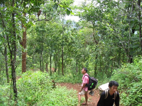 Full Day Trek to Kuang Si Waterfalls, Remote Village - The gentle forest hike: 2 to 3 hours that add up