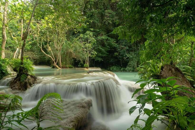 Kuang Si Waterfall, Tree Top Cafe, Ziplining - Key highlights you will actually care about