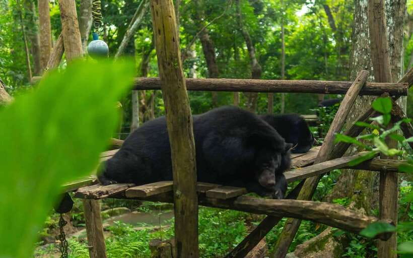 Kuang Si Waterfall, Tree Top Cafe, Ziplining - Who should book this tour, and who should skip it