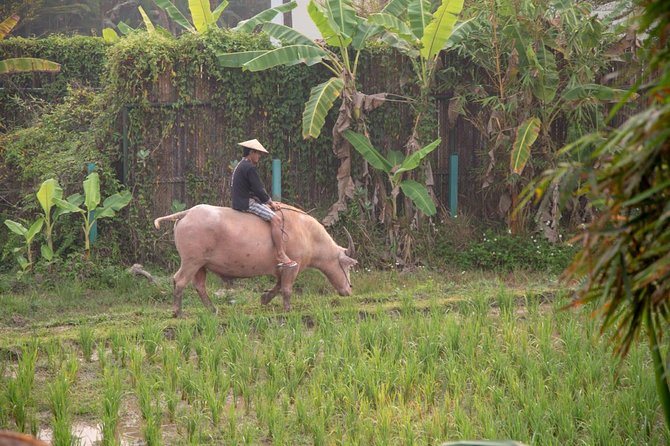 Living Land Rice Farming Experience - Beyond rice: bamboo weaving, sugar cane pressing, and blacksmithing
