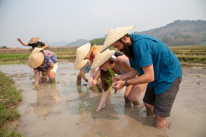 Living Land Rice Farming Experience - Lunch, snacks, and what you should do if you care about food