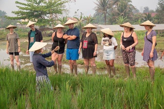 Living Land Rice Farming Experience - The community impact: why this isn’t only a nice morning