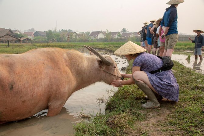 Living Land Rice Farming Experience - Optional add-ons to waterfalls and caves, and the timing reality