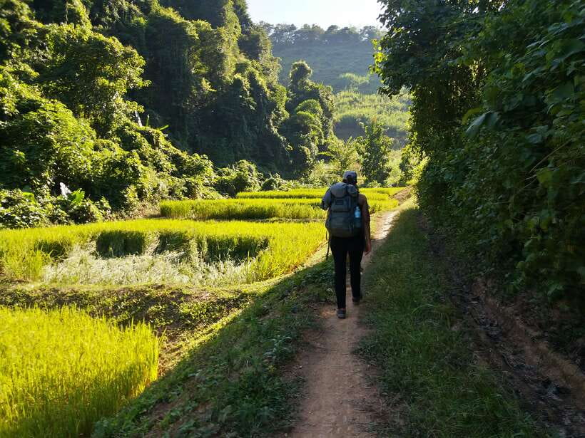 Luang Prabang: 3-Day Cultural Remote Trek With Homestay - Key Details Worth Knowing Before You Go