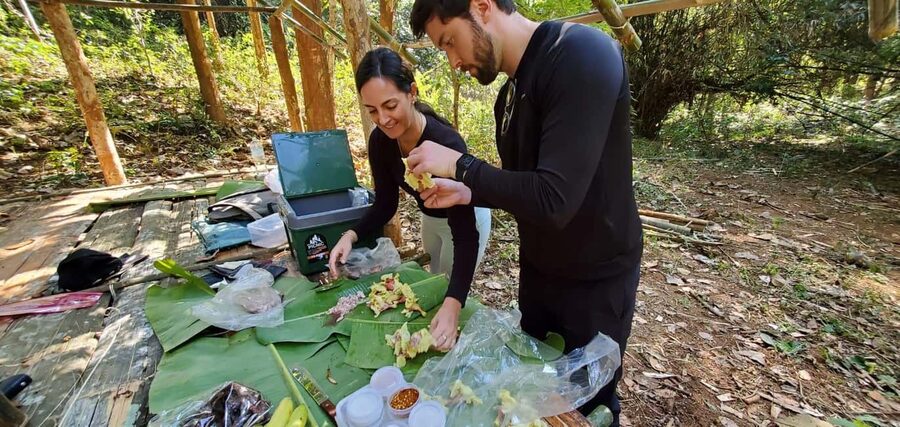 Luang Prabang: Bamboo Forest Cooking-class & Farm Visit - The plant lesson: edible, medicinal, and everyday-use knowledge you can apply