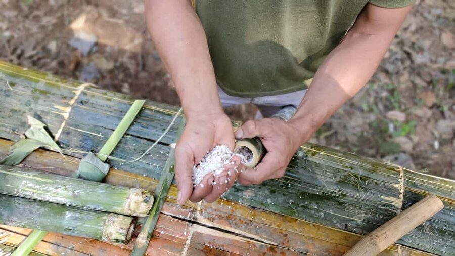 Luang Prabang: Bamboo Forest Cooking-class & Farm Visit - Value check: what $100 buys on a forest cooking day