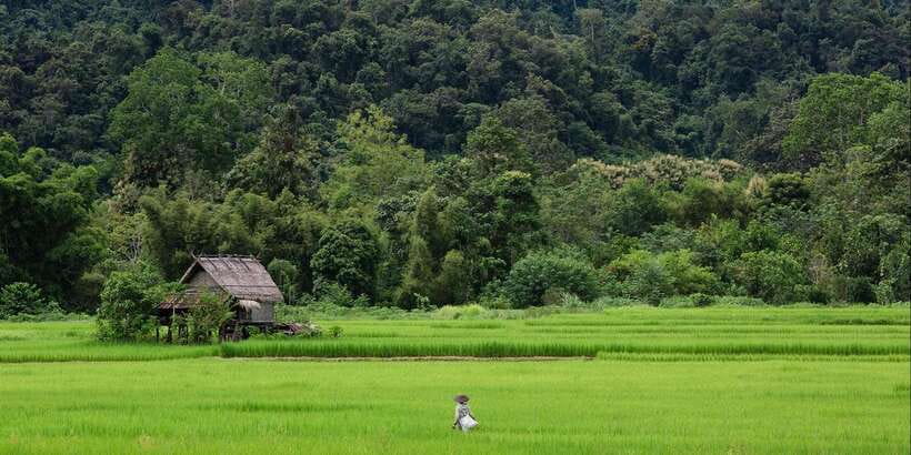 Luang Prabang: Countryside Mountain Bike Tour with Lunch - Off-road riding reality check: 50 km, heat, and medium-grade trails