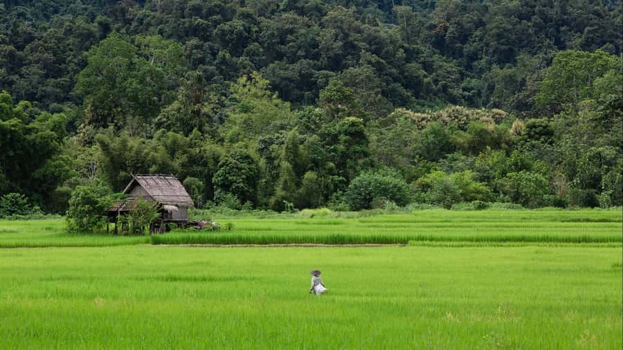 Luang Prabang: Countryside Mountain Bike Tour with Lunch - Heading out of Luang Prabang: Mekong, rivers, and that first taste of off-road