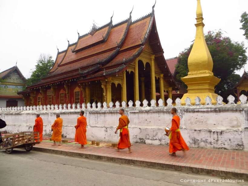 Luang Prabang: Foodie Walking Tour & Monk Blessing - Key highlights to know before you go