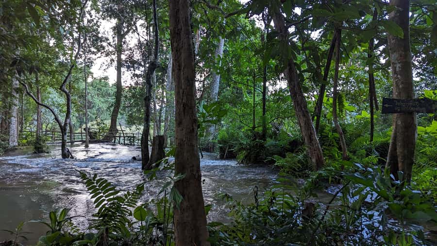 Luang Prabang: Full Day Trek to Kuang Si Waterfall & Village - Key things to know before you go
