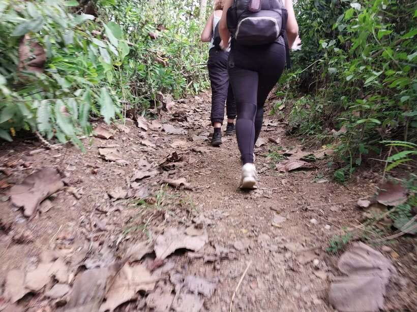 Luang Prabang: Hiking Off the Beaten Track with Picnic Lunch - The first climb: skyline ridge, crops, and village life