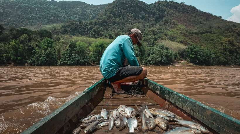 Luang Prabang: Mekong Fishing with a Local Fisherman & Lunch - Quick hits on Mekong fishing, net casting, and lunch