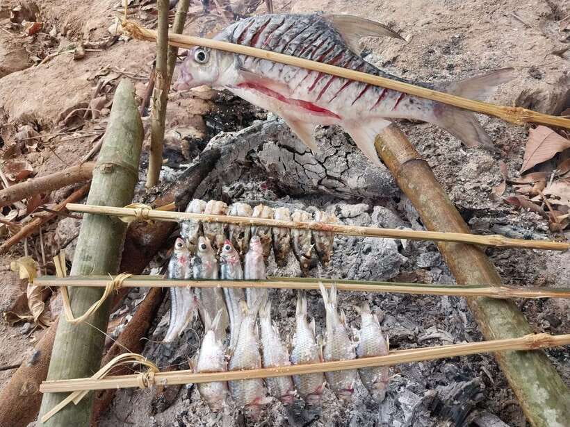 Luang Prabang: Mekong Fishing with a Local Fisherman & Lunch - The Mekong fishing lesson: nets, reeds, and techniques passed on for centuries