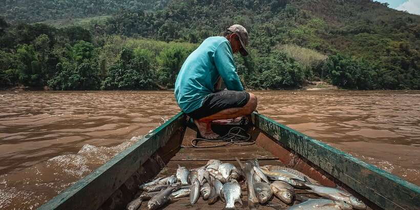 Luang Prabang: Mekong Fishing with a Local Fisherman & Lunch - Riverbank grilled fish lunch: eating with the fisherman on the beach