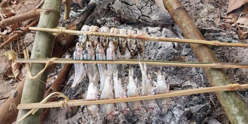 Luang Prabang: Mekong Fishing with a Local Fisherman & Lunch - Price and value: what you get for $69 in 4.5 hours