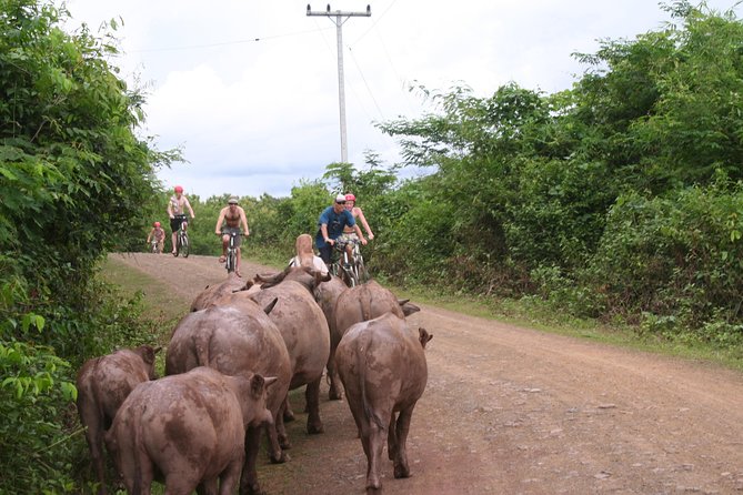 Luang Prabang Mountain Bike Cycling Tour - What the Day Feels Like End-to-End (So You Can Plan Your Energy)