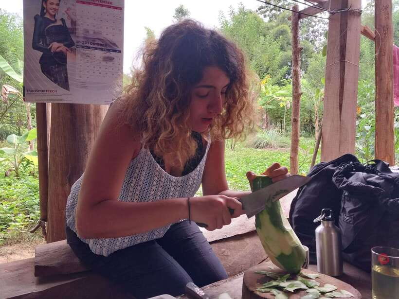 Luang Prabang: Organic Farm Experience & Hike to Kuang si - Transport, group size, and why the $79 price can make sense