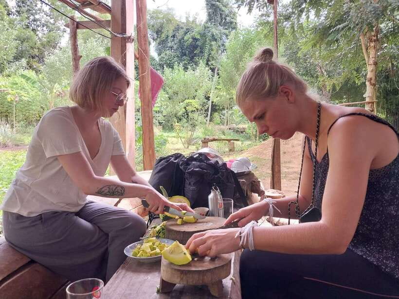 Luang Prabang: Organic Farm Experience & Hike to Kuang si - Getting to Ban Pak Si by tuk-tuk, and why the timing matters