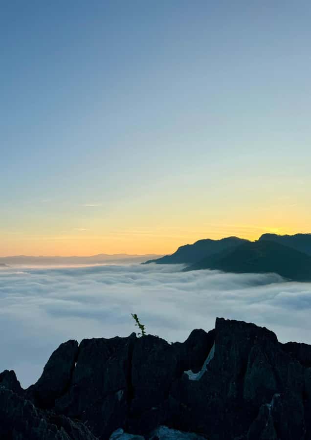 Overnight Camping At nong khiaw view point, 360 view - Dinner in the Jungle: What’s Included, What’s Optional, What to Confirm