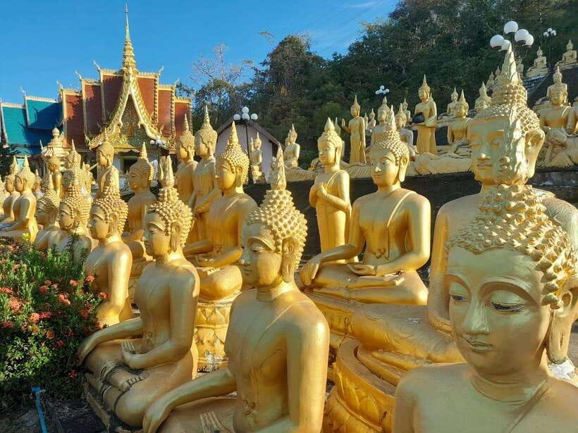 Pakse: Mystic Falls & Timeless Temples of Southern Laos Tour - Price and Logistics: What Your $97 Covers, What It Does Not