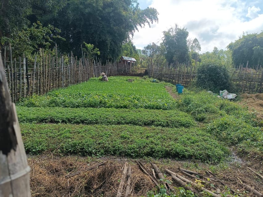 Plain of jars share group tour - Site 2 at Ban Nakho: where the views tend to land