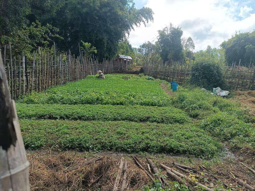 Plain of jars share group tour - Lunch at Lak khai: simple, included, and timed for energy
