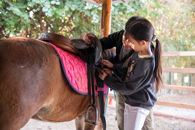 Pony Riding in Luang Prabang - Quick hits before you book