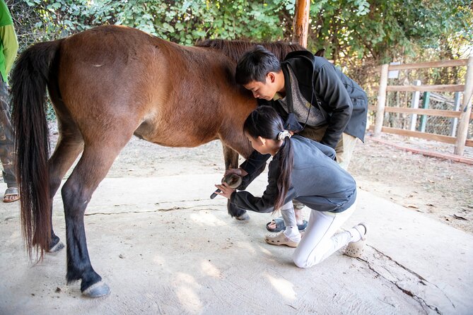 Pony Riding in Luang Prabang - The Namkhan Horses Stables setup: what you’re really paying for