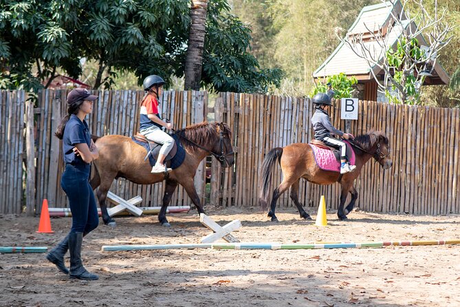 Pony Riding in Luang Prabang - The Hmong horse connection: what makes these mounts special