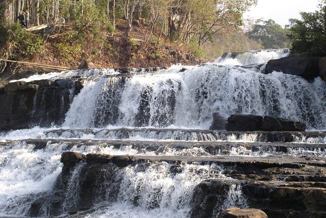 Private Tour Full-day Morning Market, Villages and Scenic Kuang Si Waterfall - Tat Kuang Si Bear Sanctuary: what 30 minutes really gives you