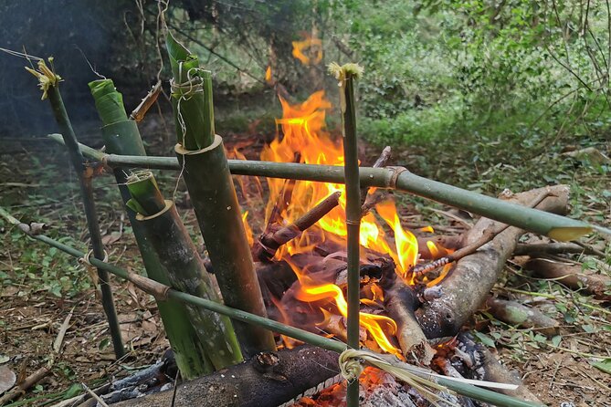 Tribal Cooking Class in Luang Prabang Forest and visit - The short walk into the primary forest and what to expect
