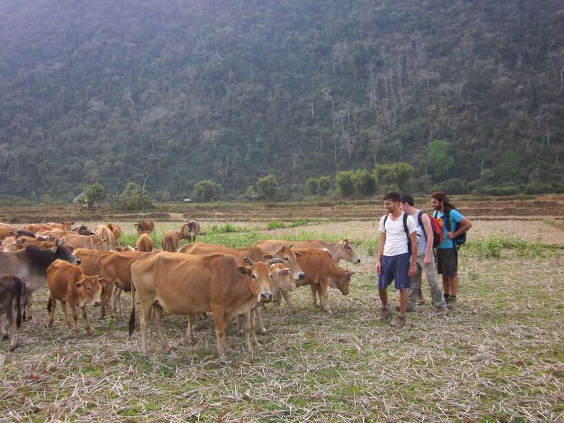 Vang Vieng: Jungle & Caves Full-Day Private Trekking Tour - Key Points You Should Know Before You Go