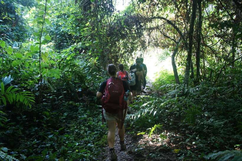 Vang Vieng: Jungle & Caves Full-Day Private Trekking Tour - Tham Hok Cave: Stalactites, Stalagmites, and Cave Comfort