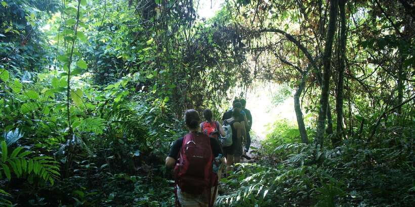 Vang Vieng: Jungle & Caves Full-Day Private Trekking Tour - Who This Trek Fits Best (and Who Should Choose Another Day)