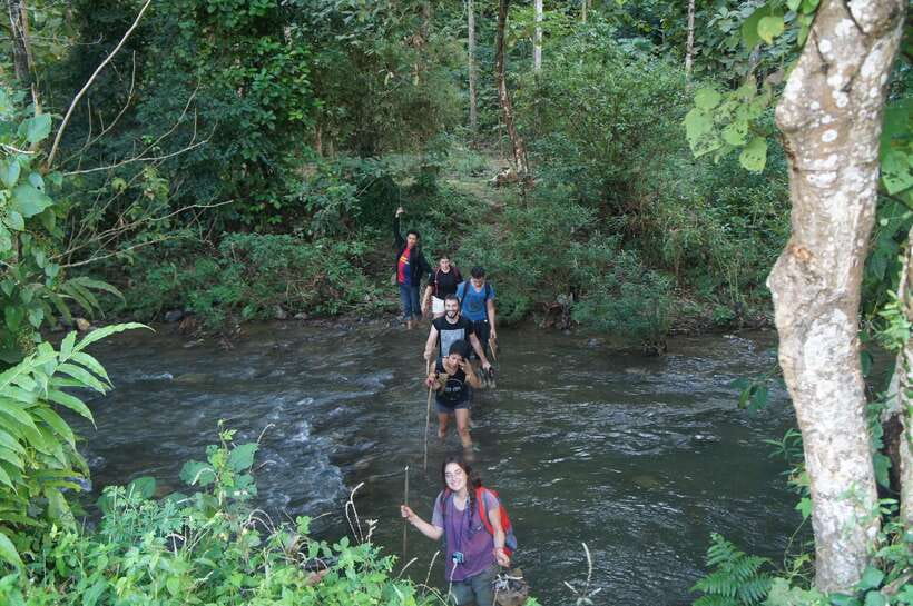Vang Vieng: Jungle & Caves Full-Day Private Trekking Tour - Should You Book This Tour?